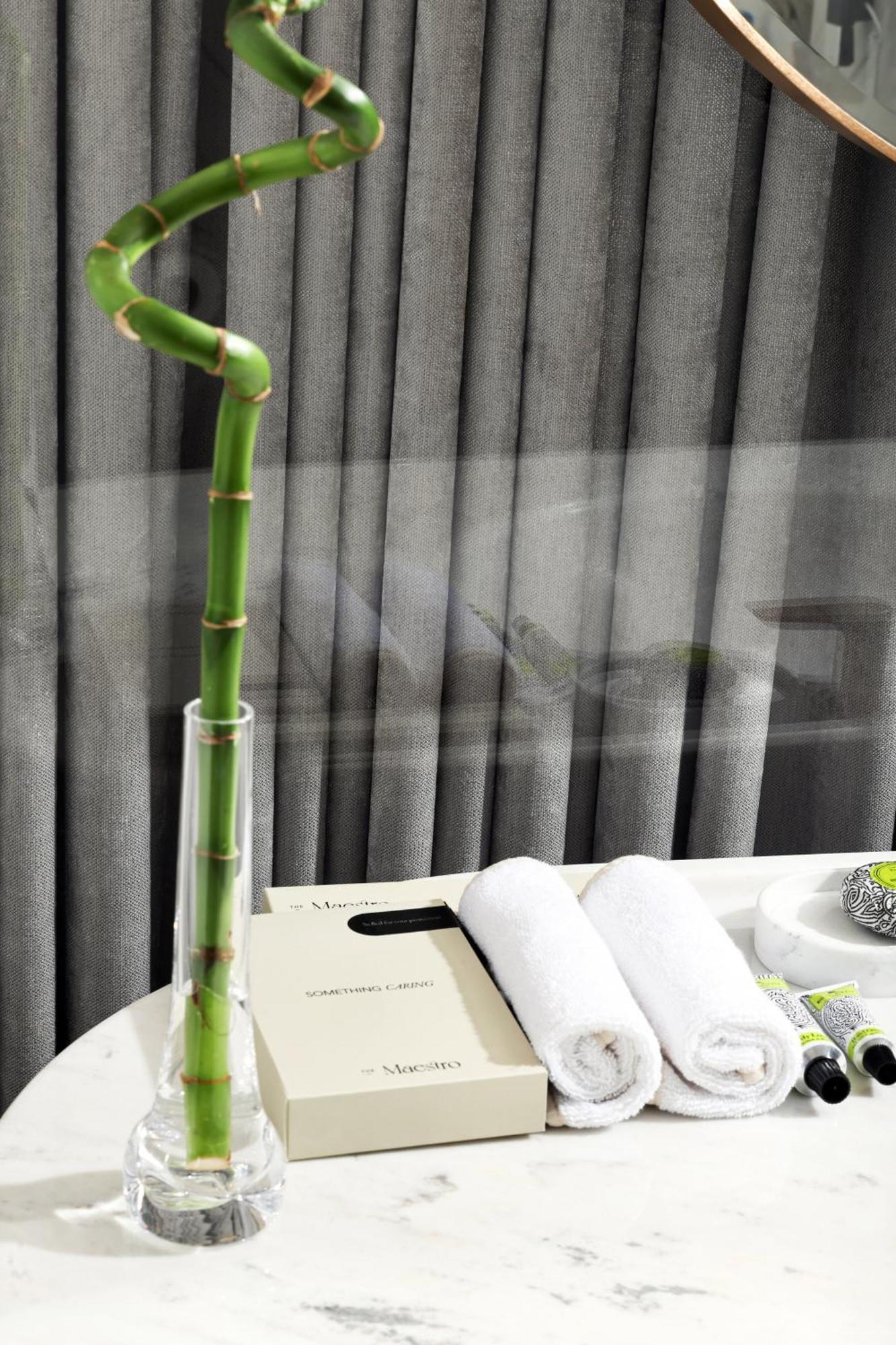 The Maestro Hotel اسطنبول المظهر الخارجي الصورة