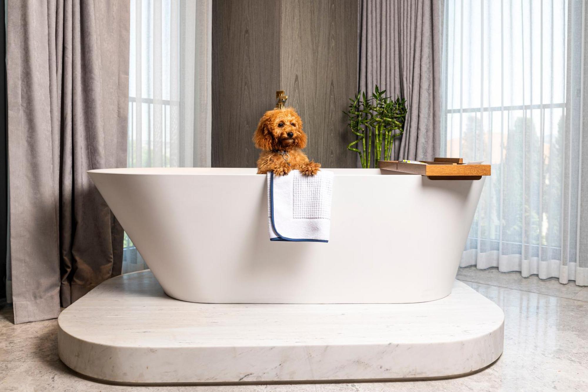 The Maestro Hotel اسطنبول المظهر الخارجي الصورة